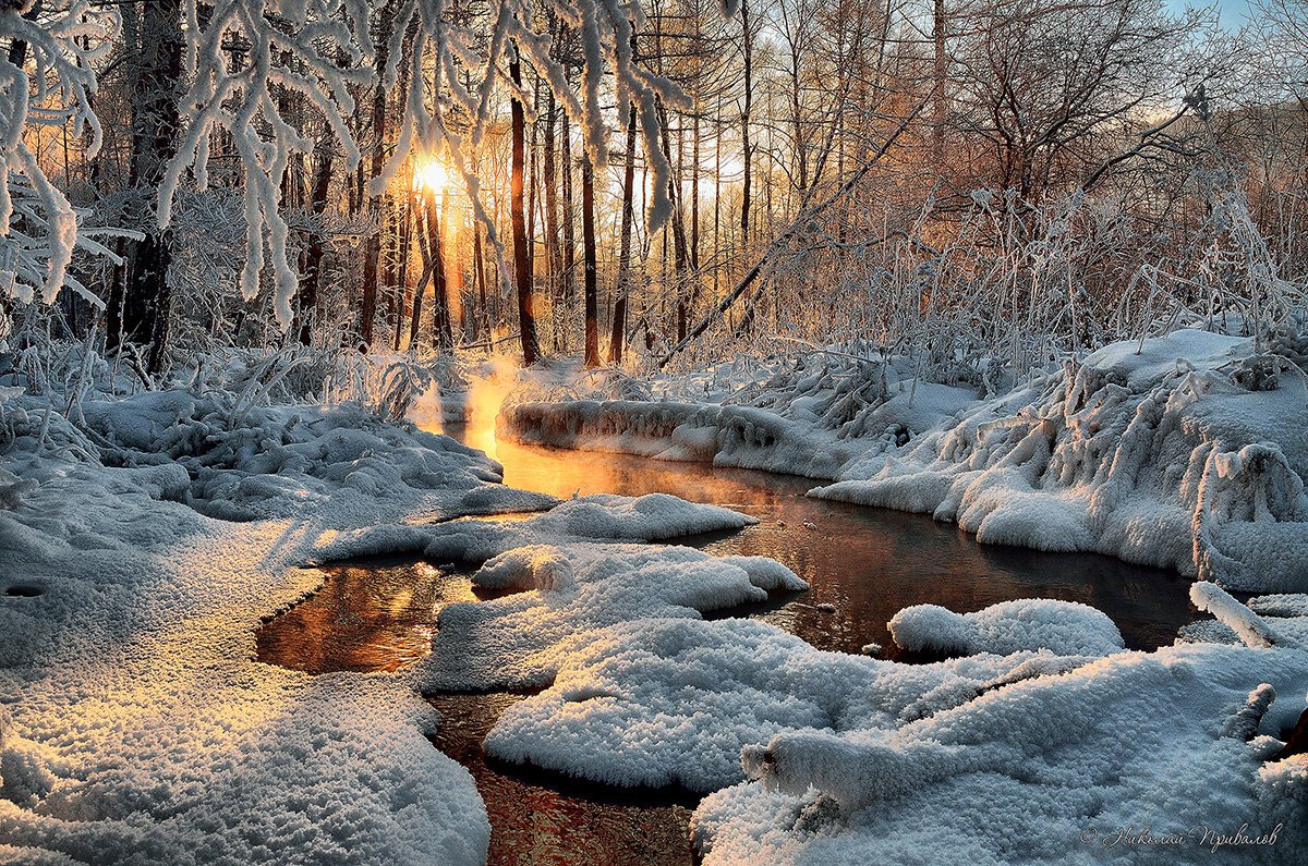 Ручей в лесу зимой