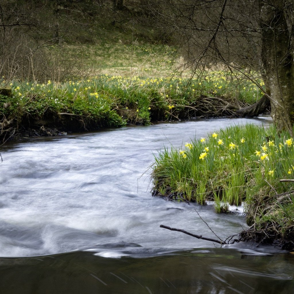 Весна ручейки