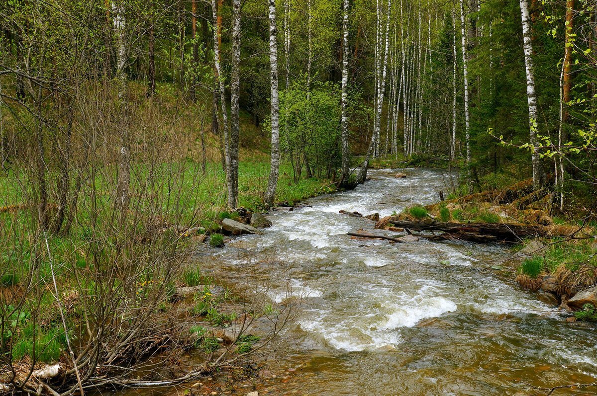 Река Шишим весной