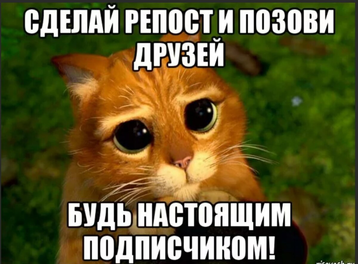 Сделай репост