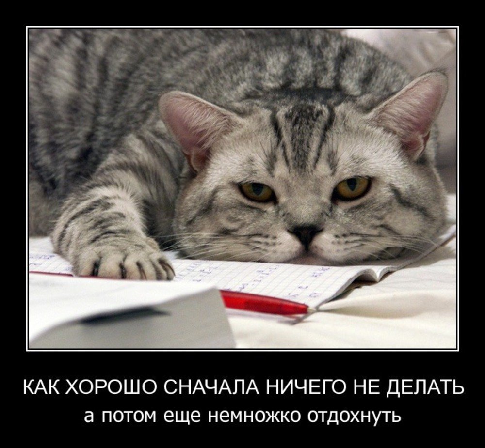 Лентяй карикатура