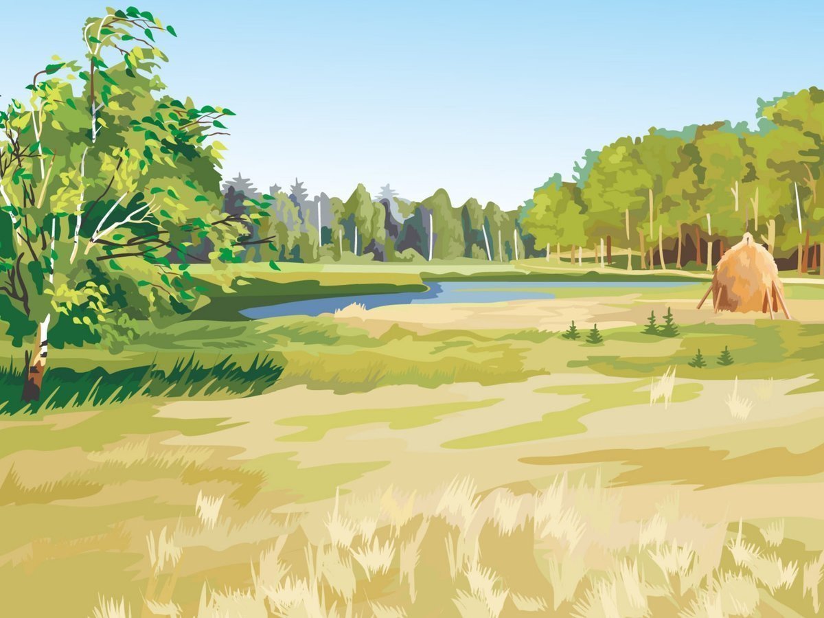 Лес без животных