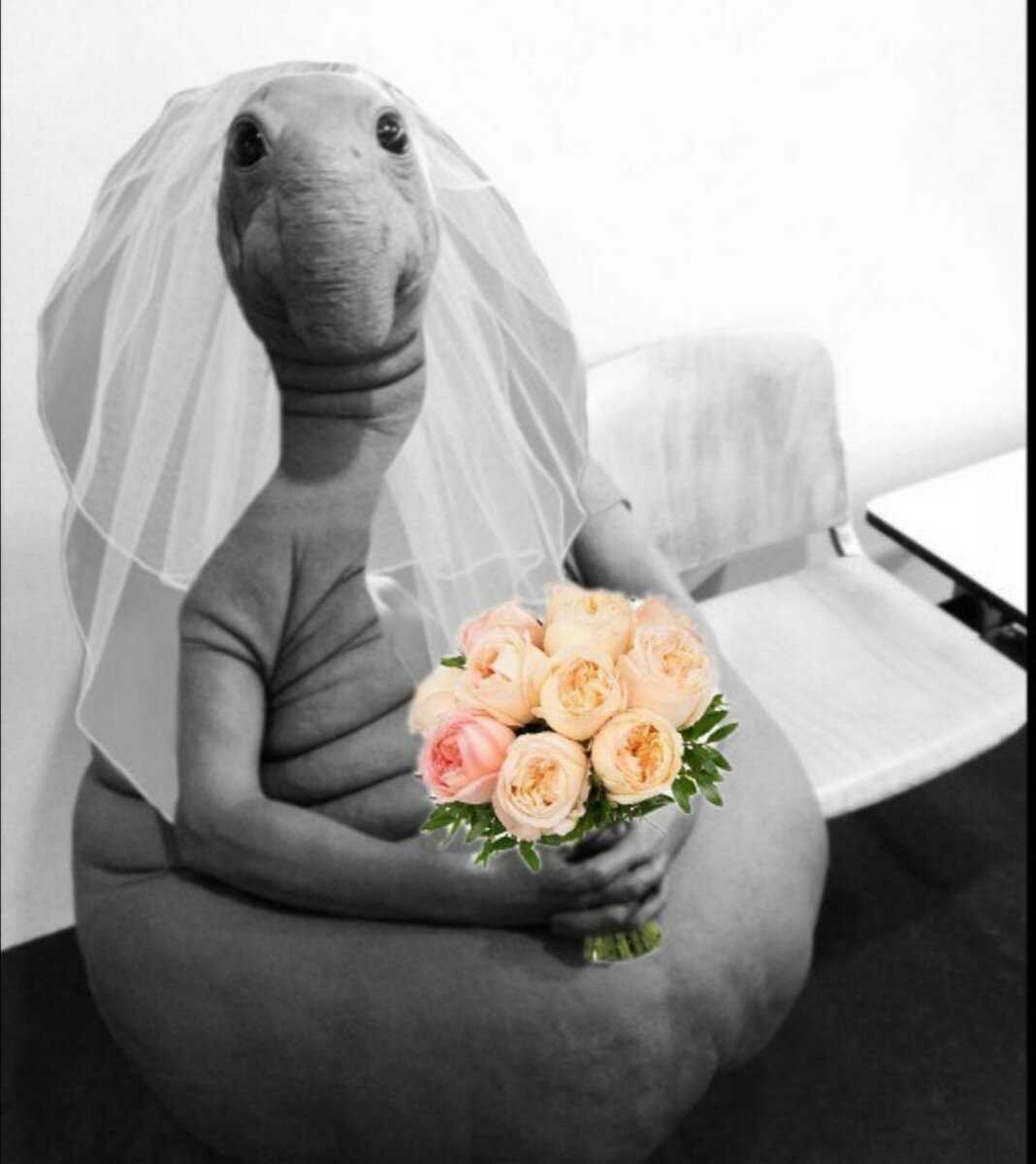 Ламантин Ждун