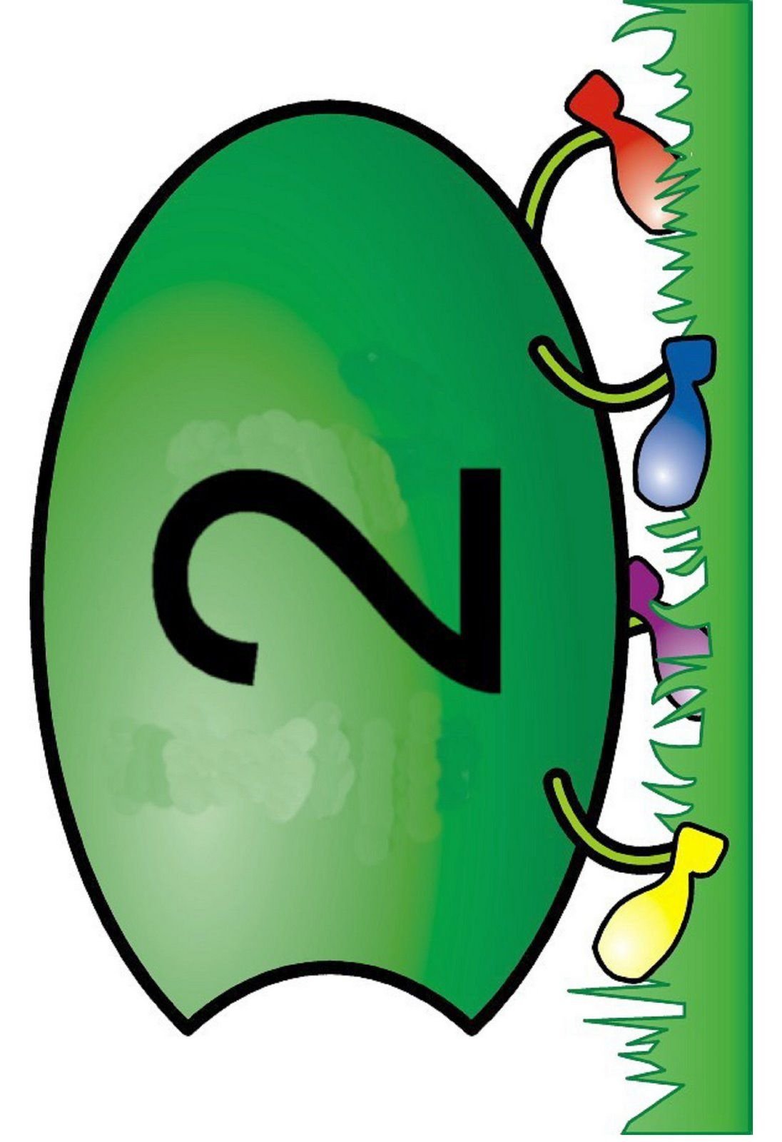 Гусеница с цифрами для детей