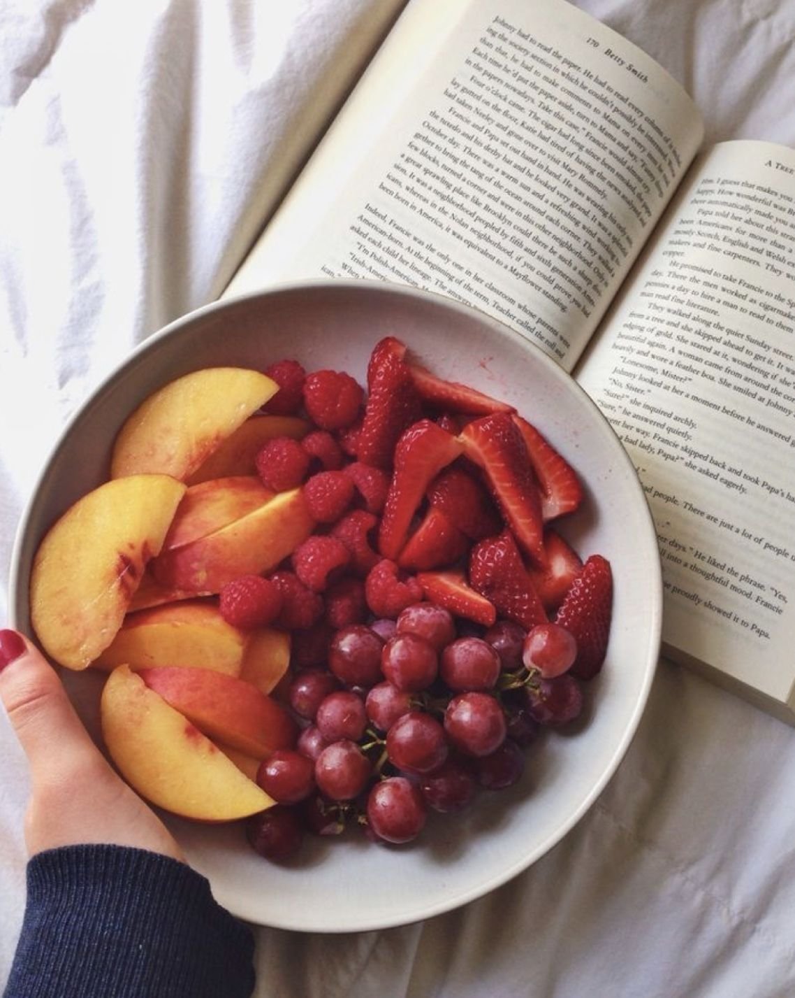 Фрукты Эстетика