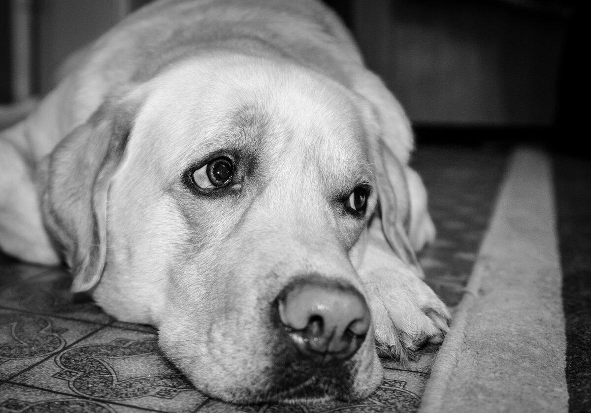 Грусть картинки