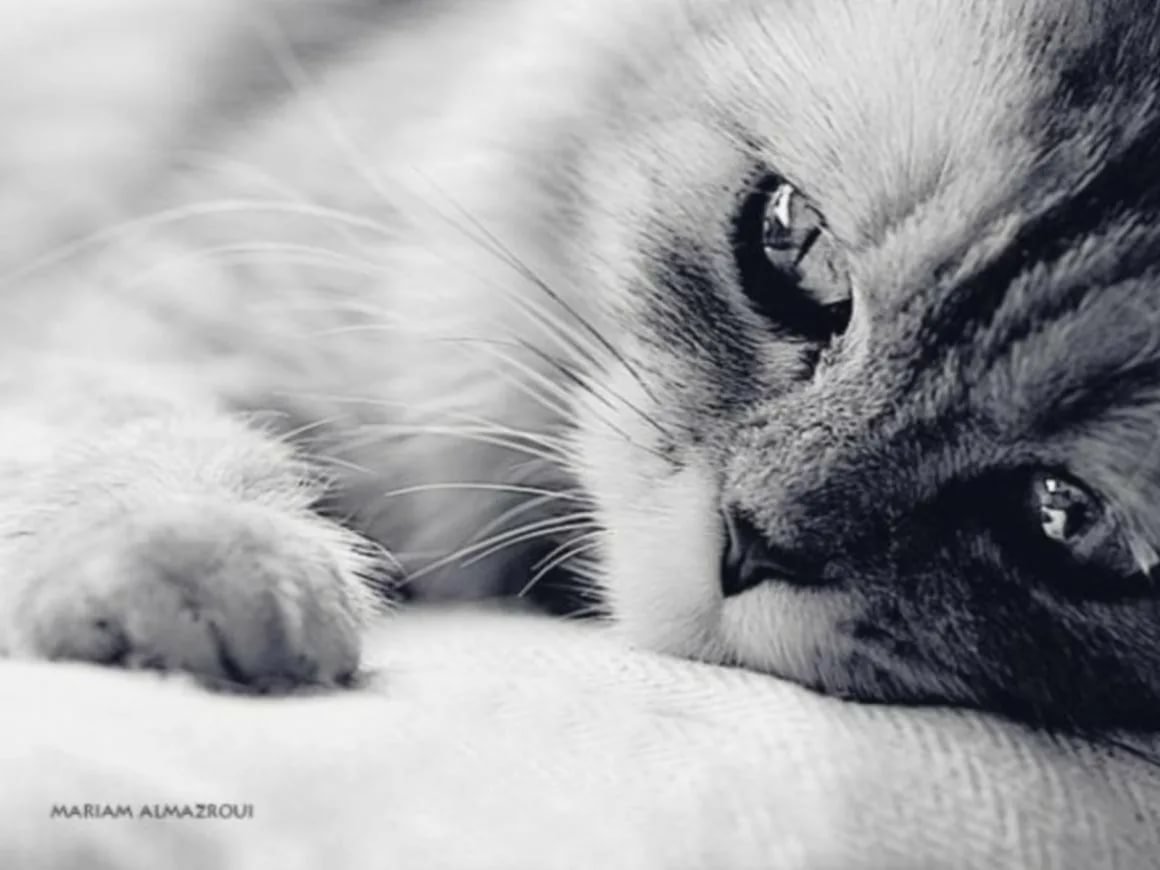 Очень грустно