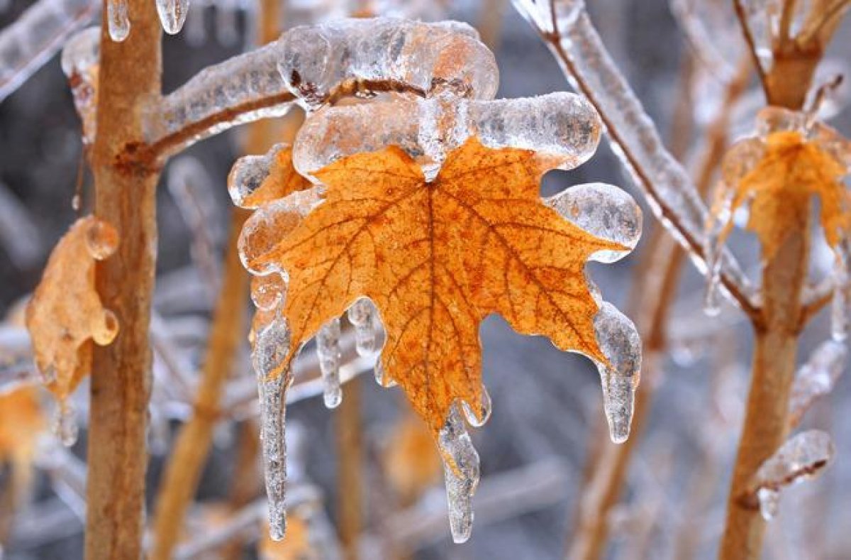 Гололедица осенью