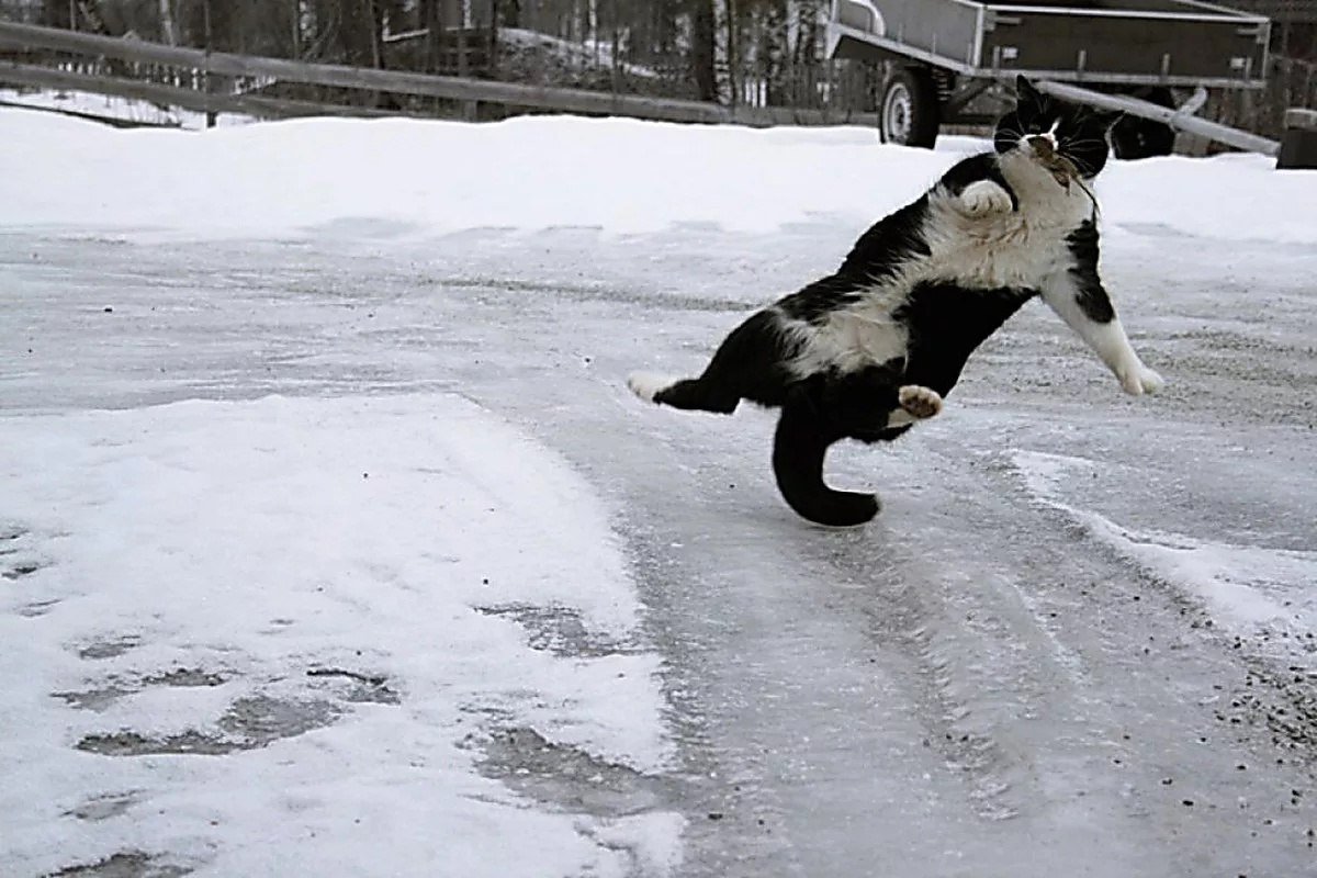 Лед на тротуаре