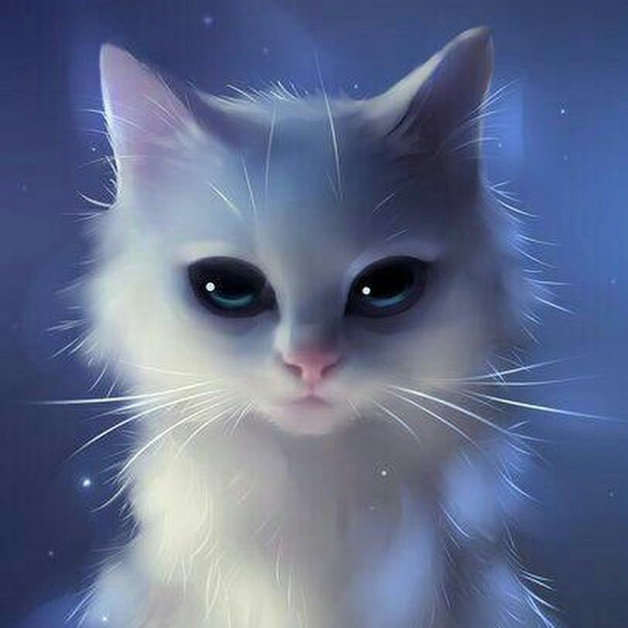 Милая мордашка котика