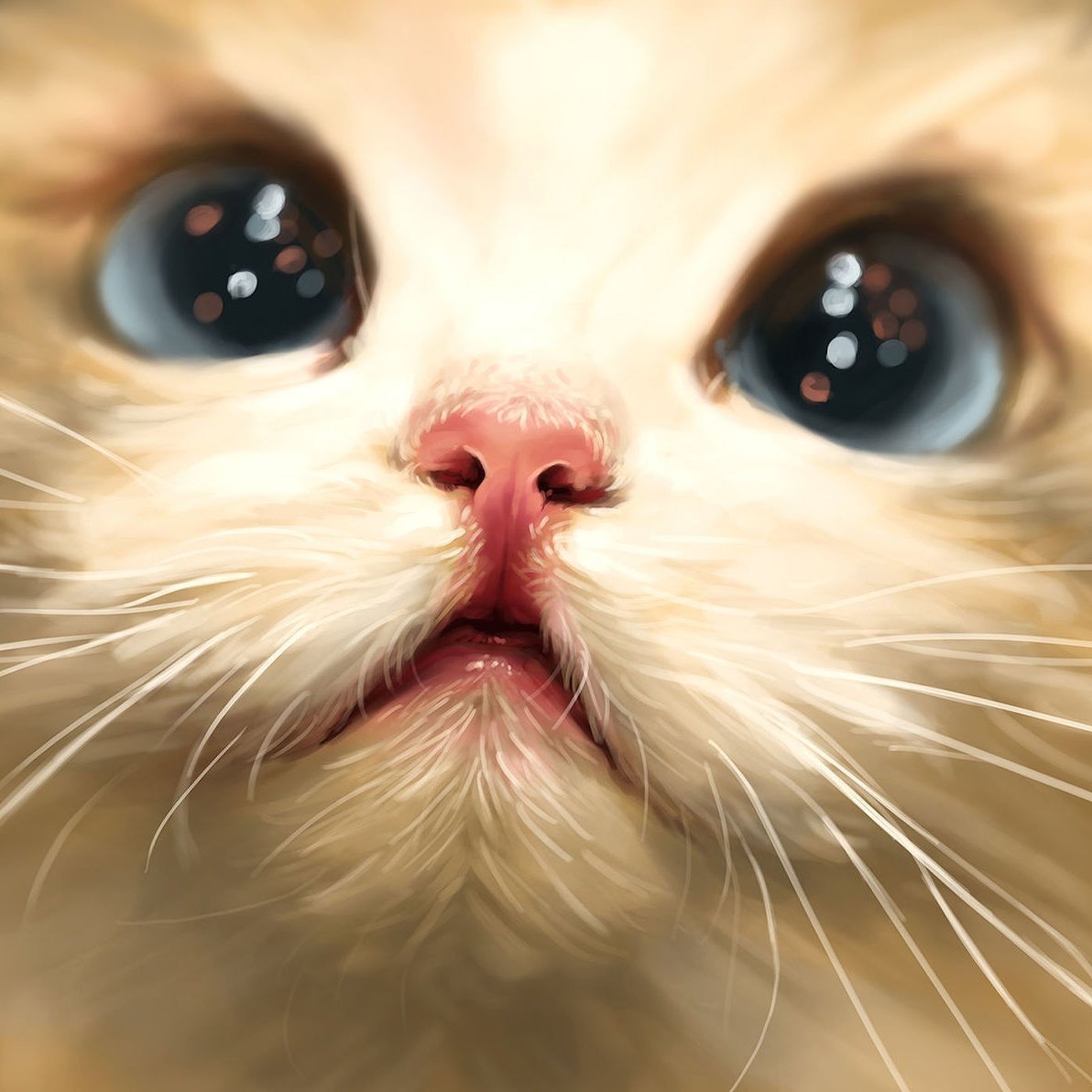 Кошачьи картинки