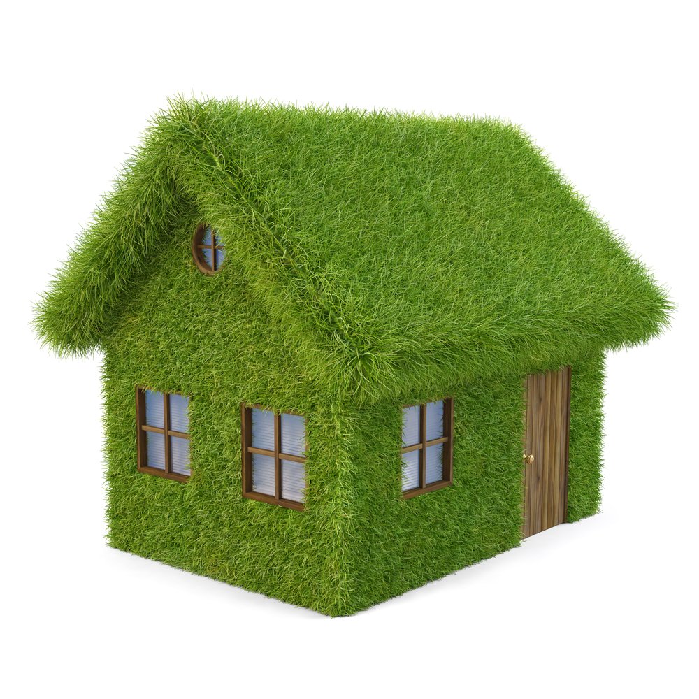 Зеленый домик