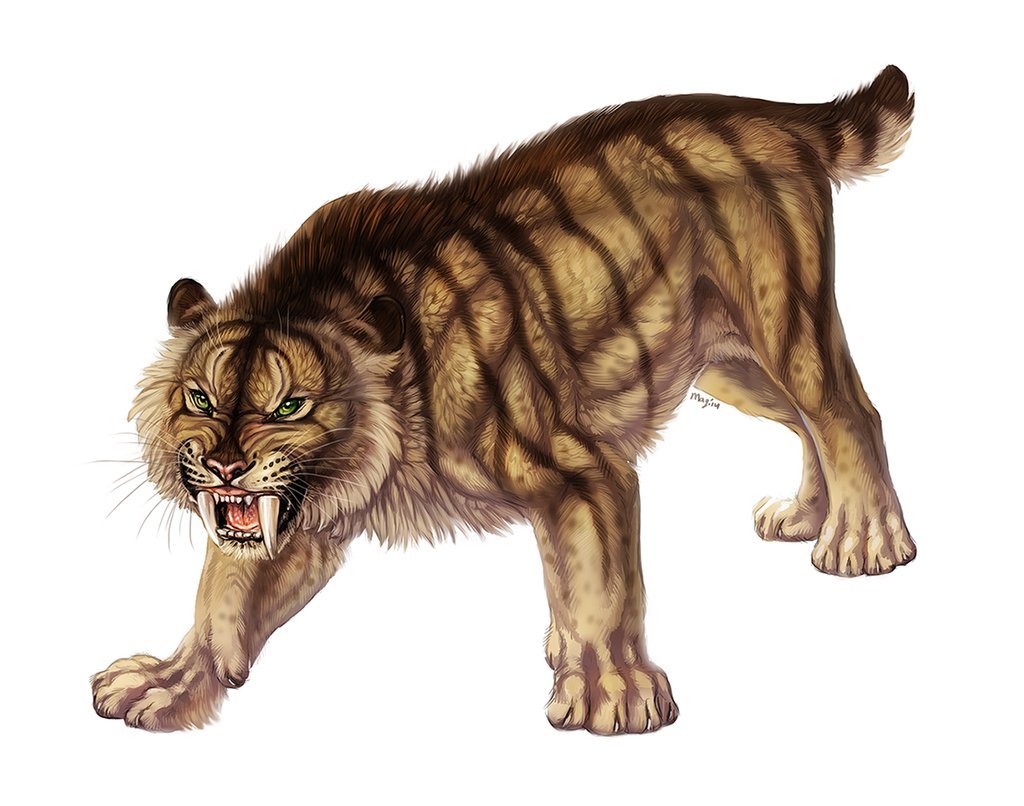 Смилодон Pathfinder