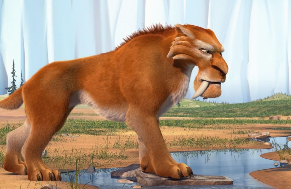 Саблезубый тигр картинки