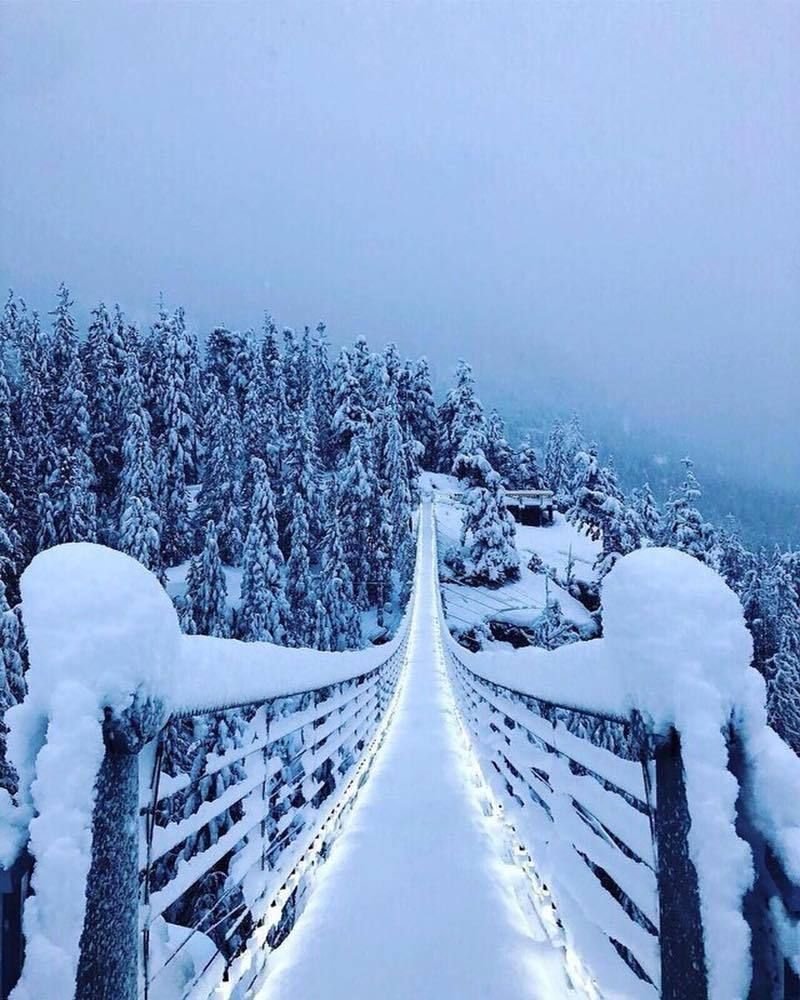 Милая девушка зимой