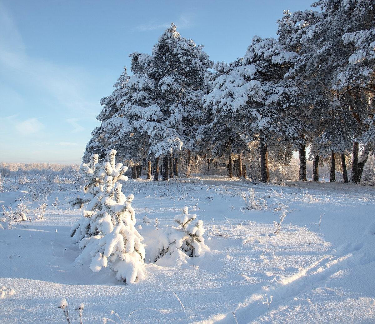 Авка зимняя природа