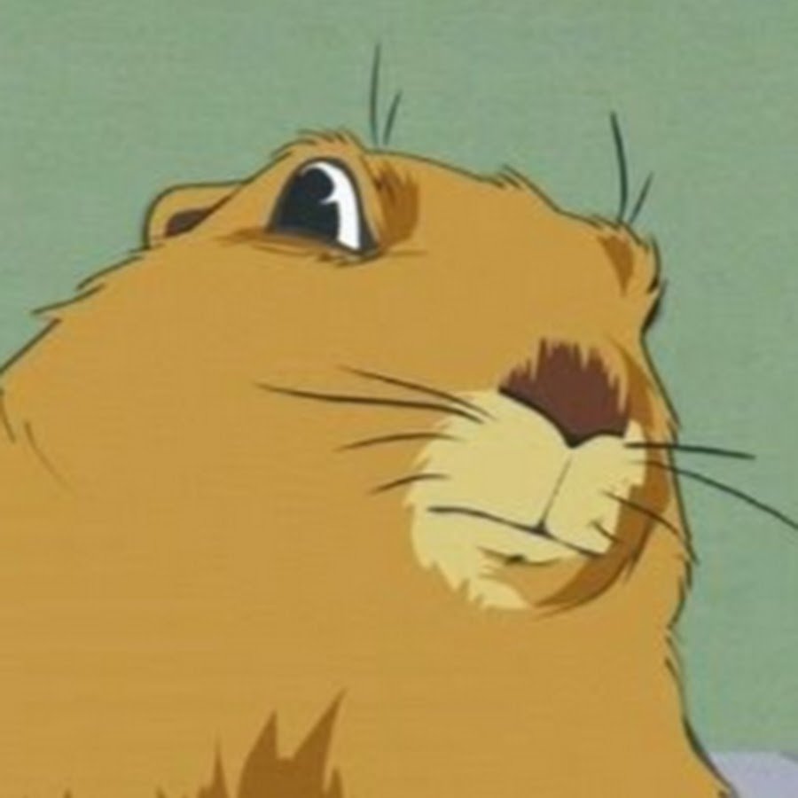 Суслик с загадочным взглядом