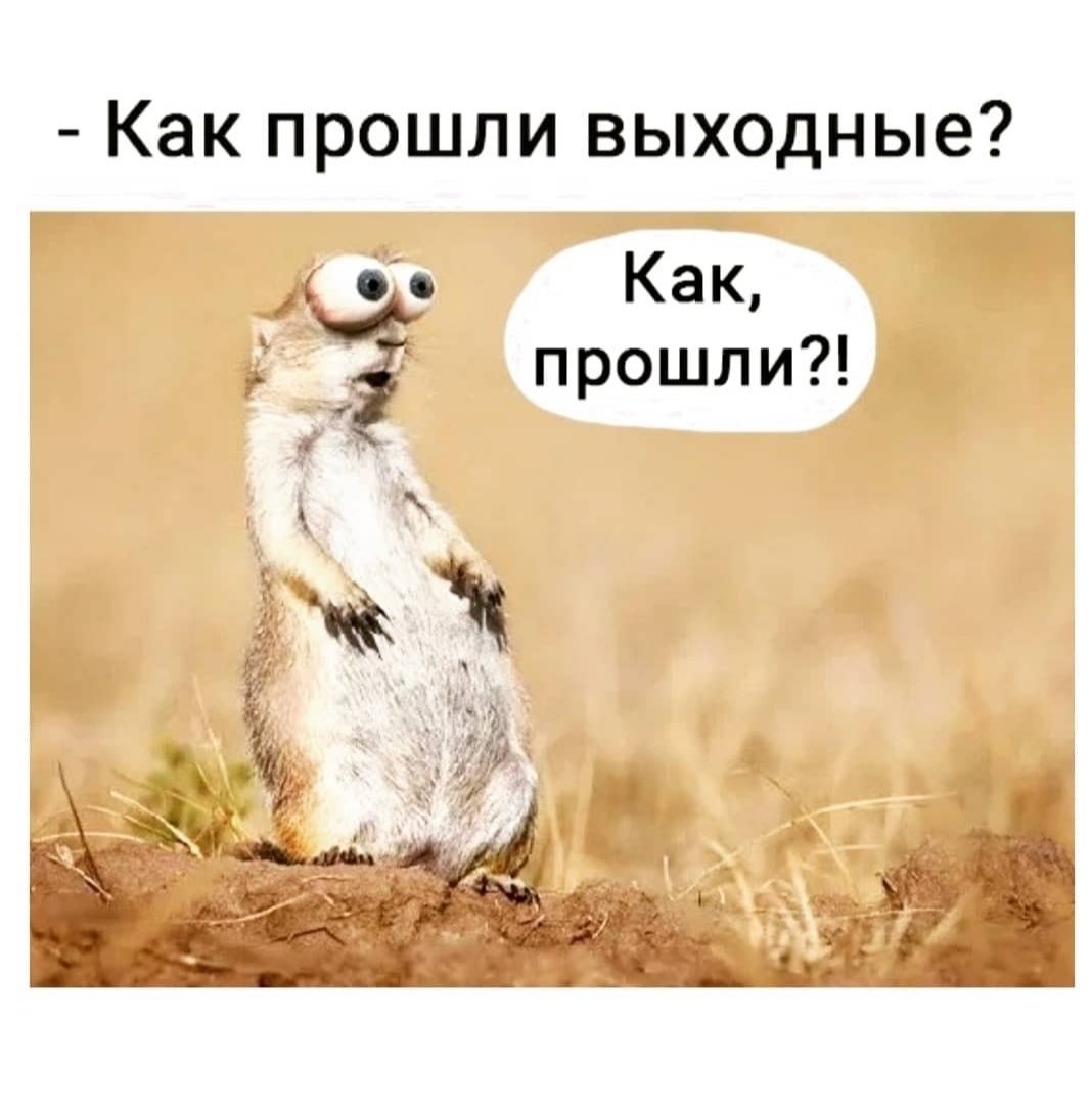 Как проходят ваши выходные