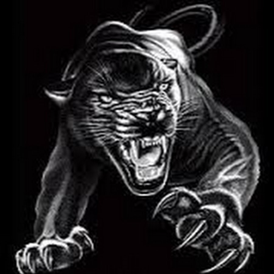 Черный Ягуар оскал