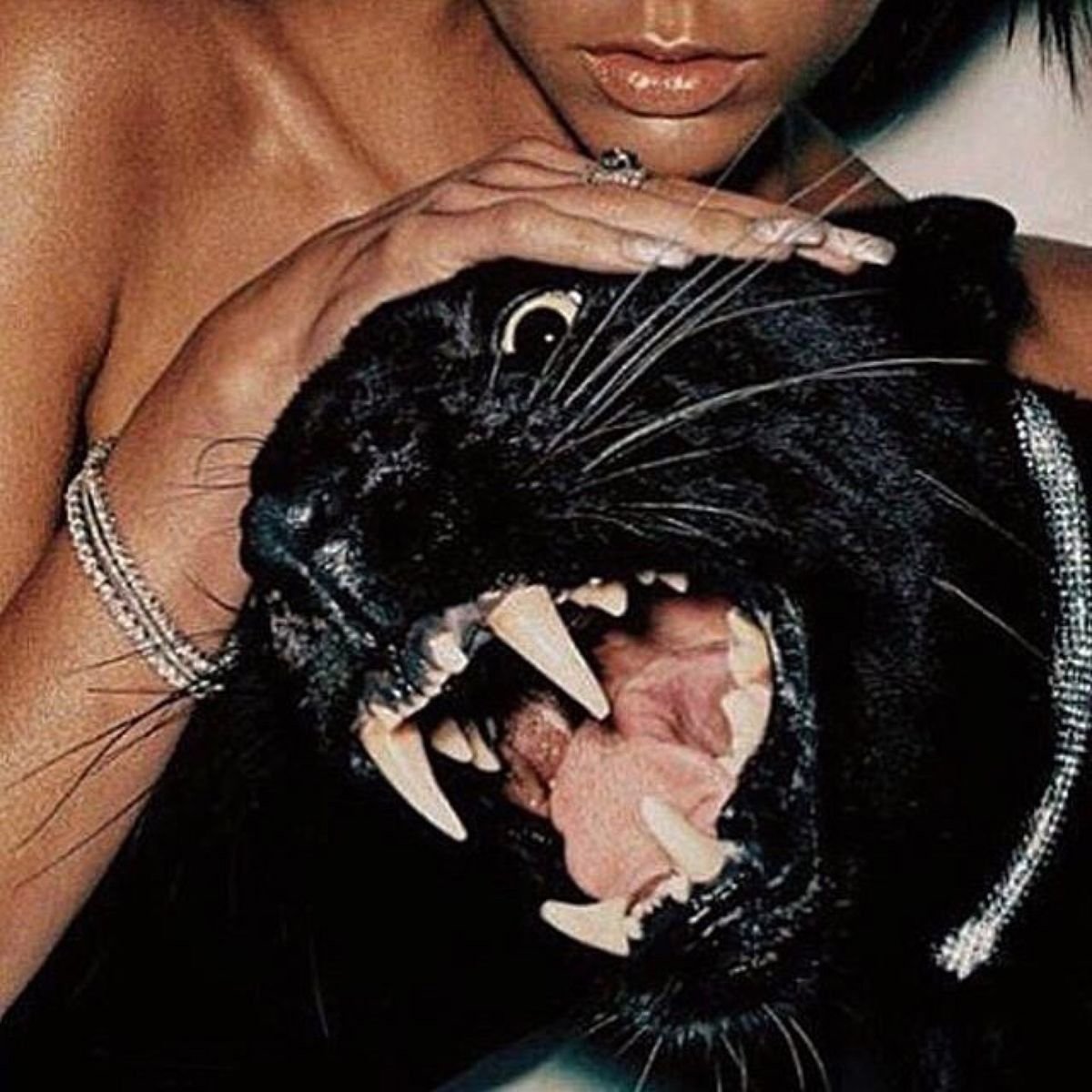 Черная Пума Багира