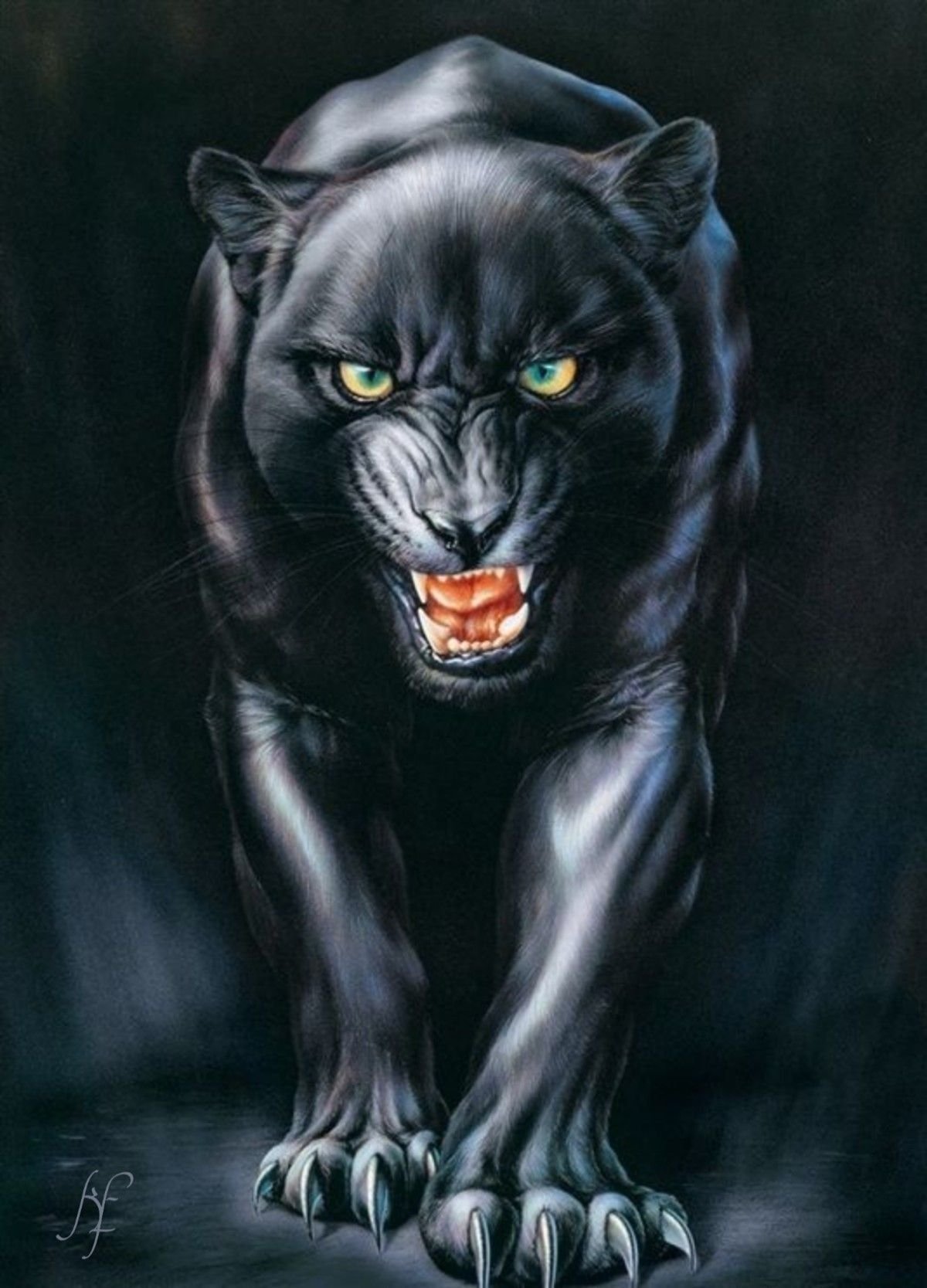 Пантера на белом фоне