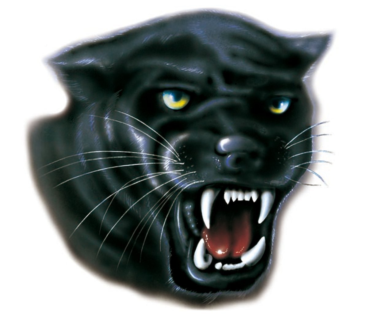 Пантера на черном фоне