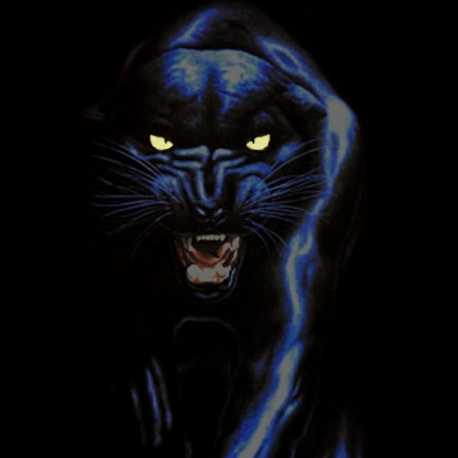 Партера черная пантера Маугли