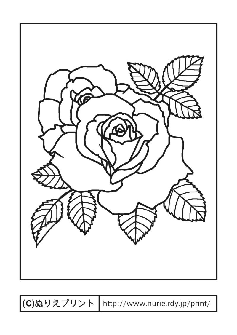 Цветы для выжигания