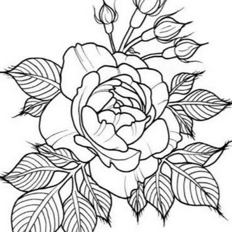 Эскизы рисунков цветов