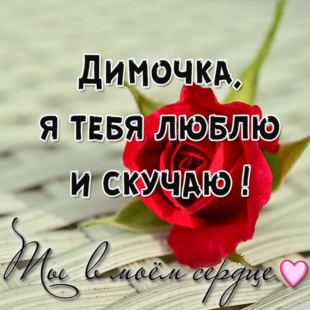 Женечка я тебя люблю