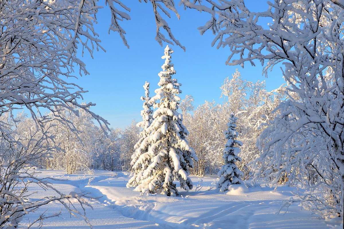 Картинка зима для детей природа