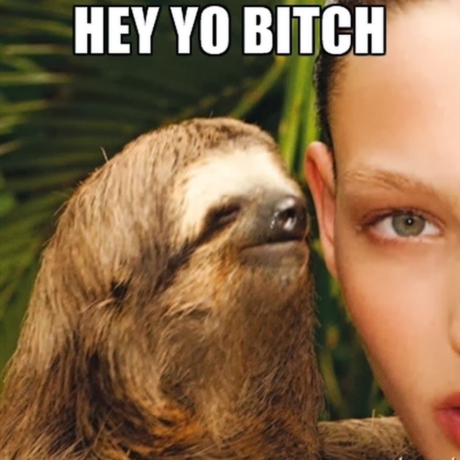 Не иди никуда Отдохни Ленивец