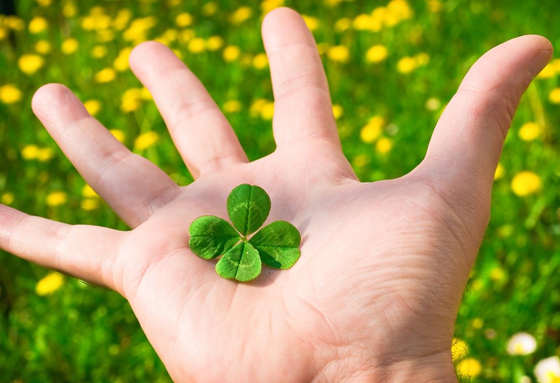 Четырехлистный Клевер на удачу