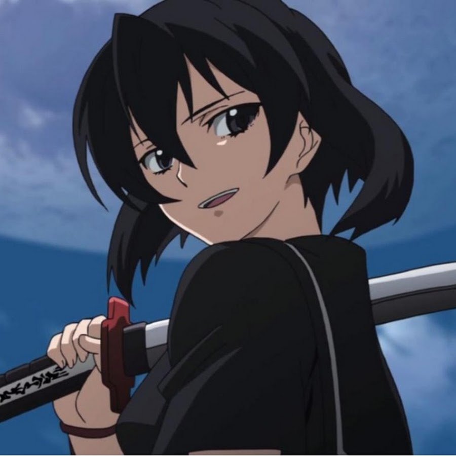 Убийца акаме акаме