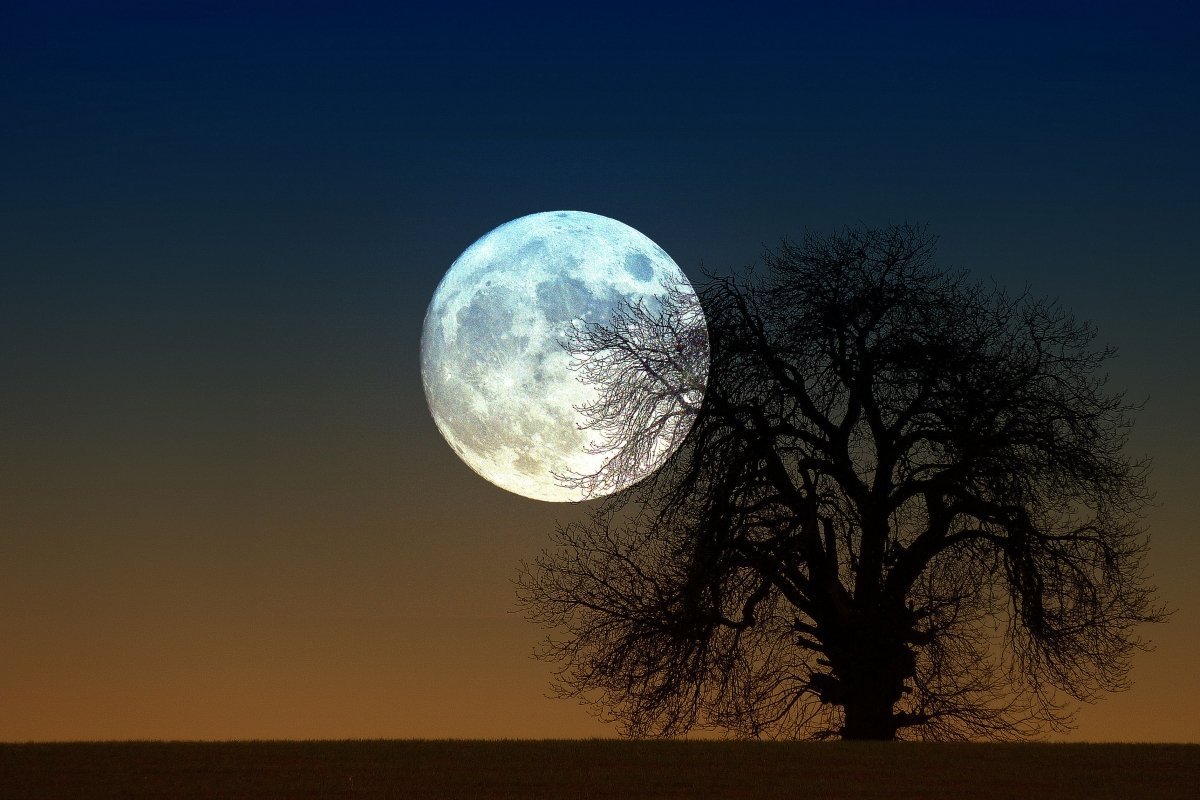 Луна стучит. Луна. Красивая Луна. Огромная Луна. Полная Луна.
