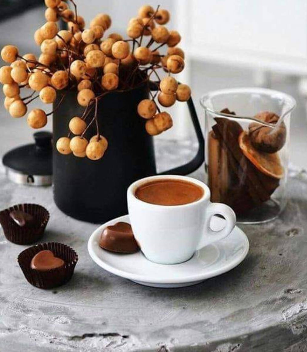 День шоколада