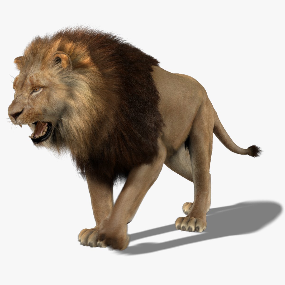 Анимированный Лев