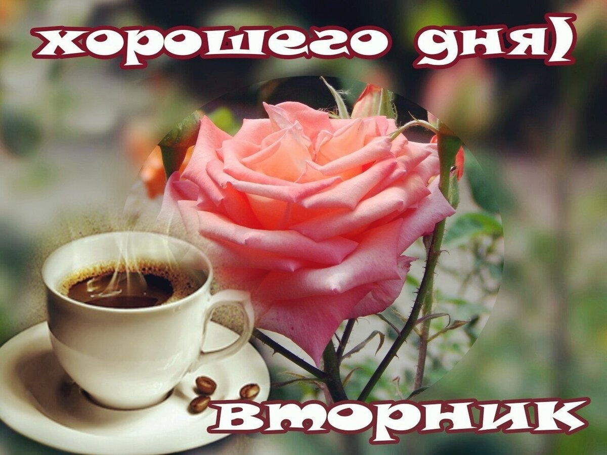 Классного вторника с пожеланиями