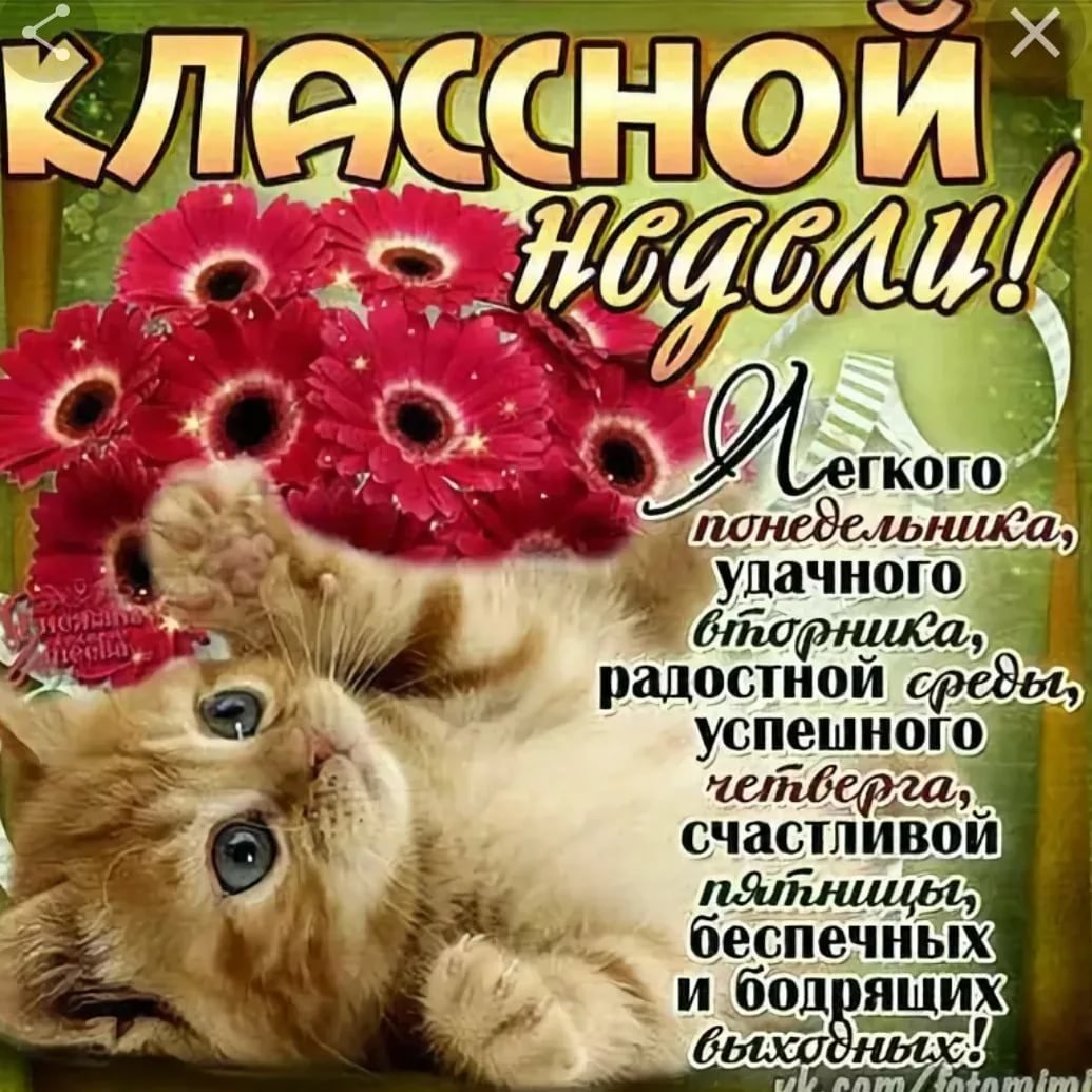 Открытки летнего настроения