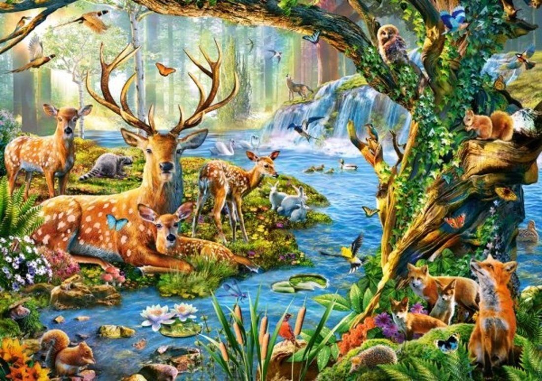 Пазл Castorland Forest Life (b-52929), 500 дет.