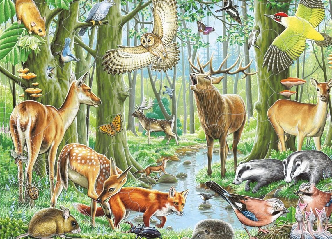 Пазл Ларсен Европейский лес