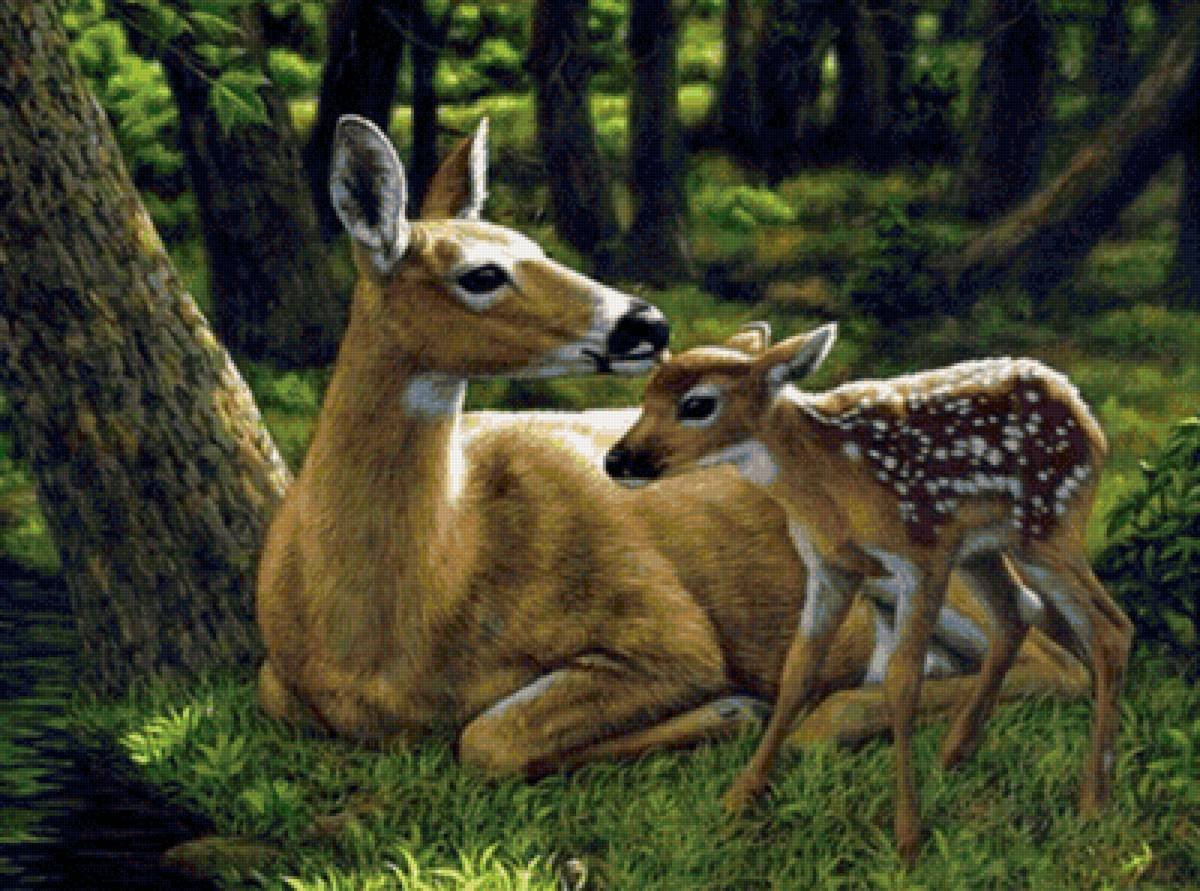 Картины с животными на природе