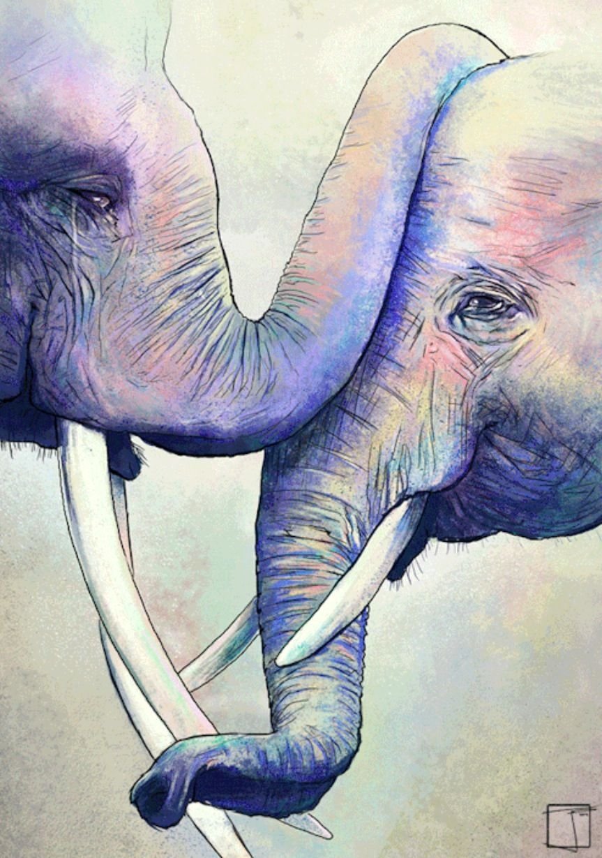 Слоники любовь