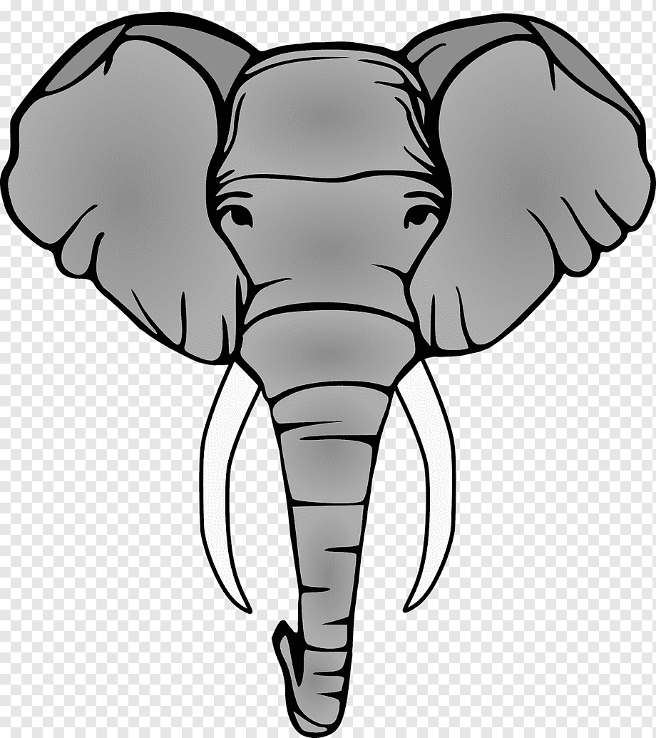 Морда слона