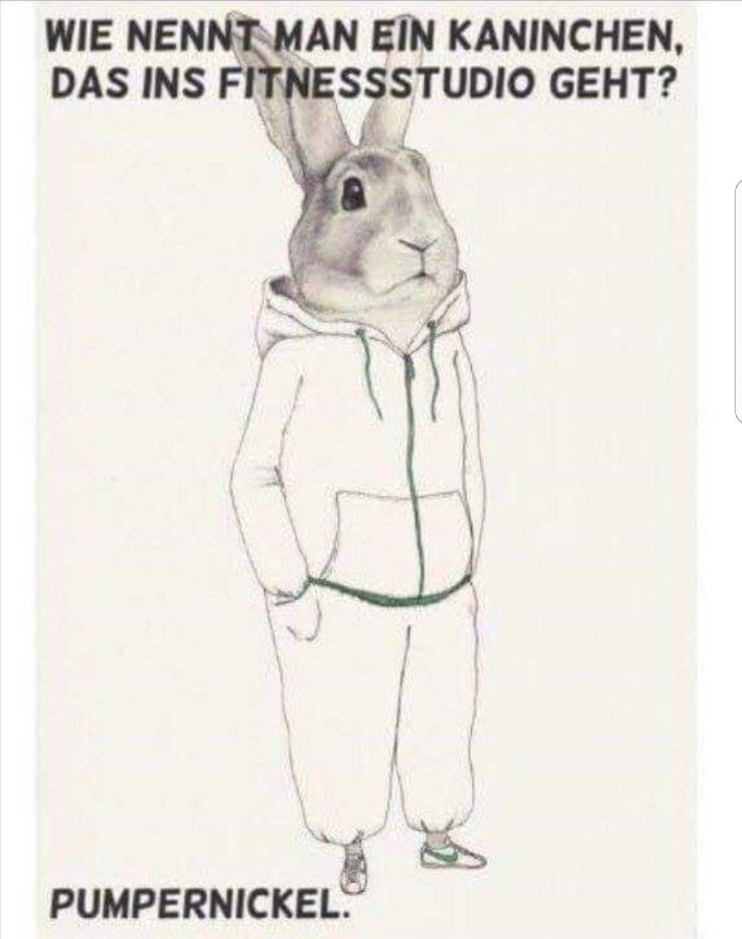 Стильный заяц