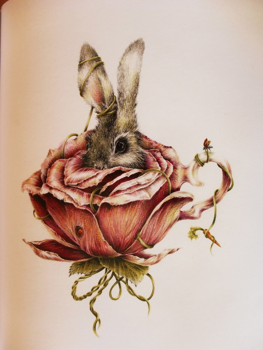 Марджолен Бастин розы