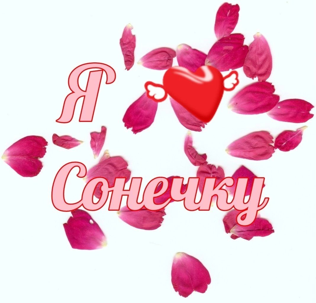 Кунац меймун