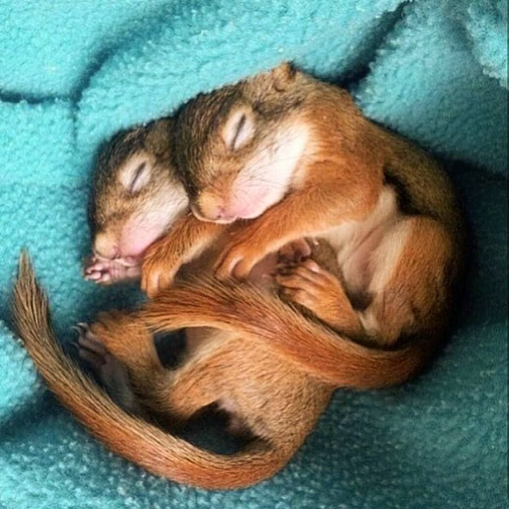 Полина охуенна