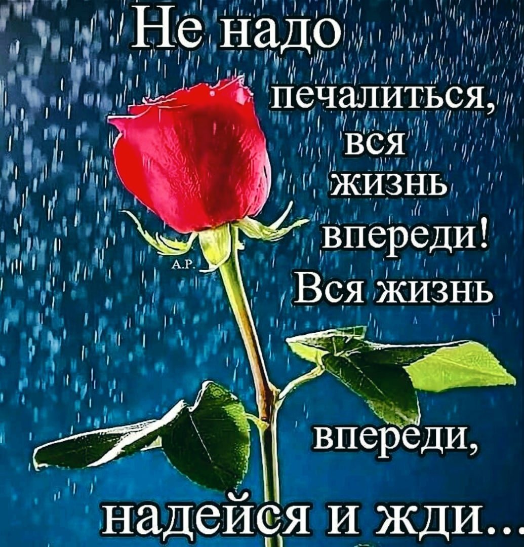 Не надо печалиться вся жизнь впереди