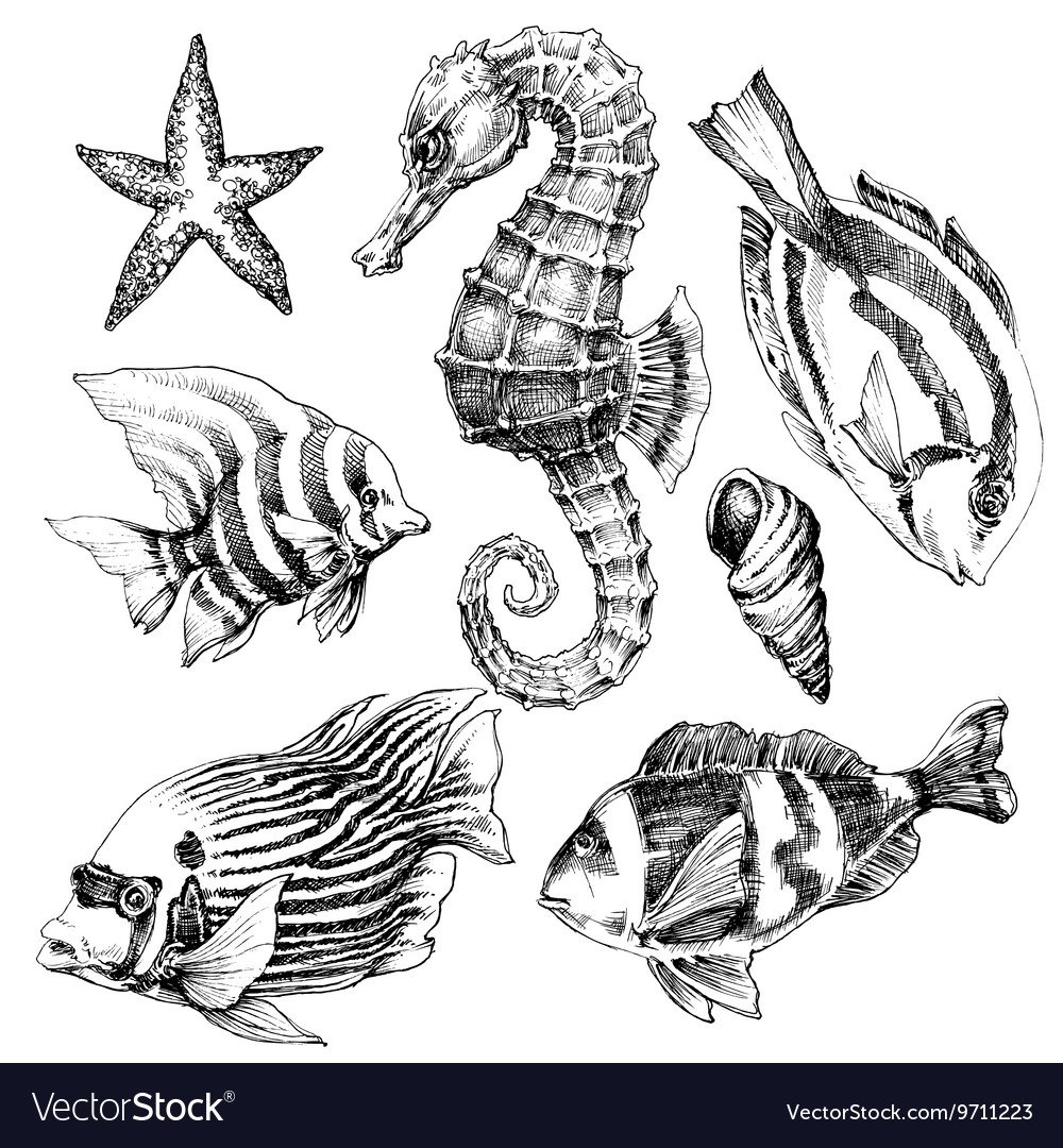 Морские жители Графика